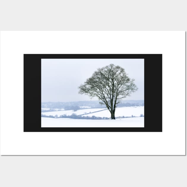 Ash Tree in the Snow Wall Art by heidiannemorris